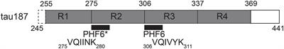 Tau-Cofactor Complexes as Building Blocks of Tau Fibrils